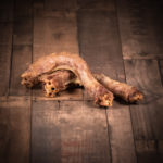 Cous de canard confits sous vide